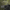 Osight S Olive Green Enclosed Red Dot 2 MOA Dot & 32 MOA Circle OAL™ Housing