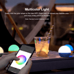 Obulb Pro S Multi Color Light